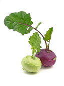 Kohlrabi Kohlrabi