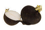 Black radish Black radish